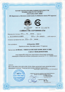 СМК до 06.05.2024 ВЕРНЫЙ-4